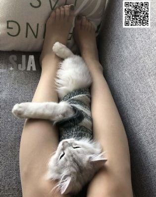 国产午夜片无码区在线播放_国产剧全集免费播放